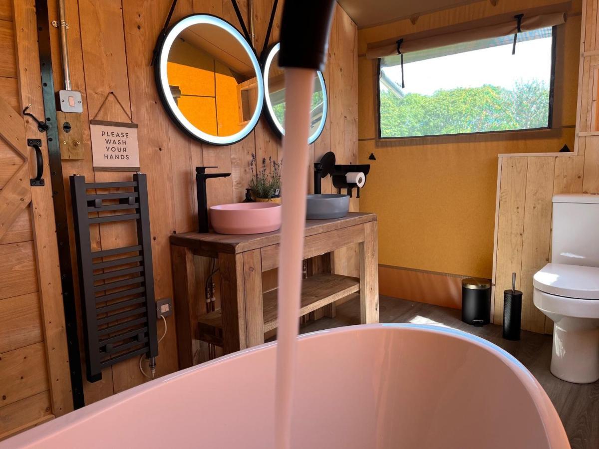 Aladdin Safari Tent Glamping Tenby